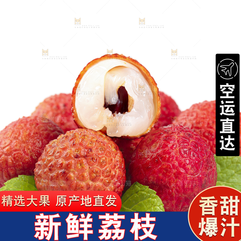 白底上摆放着高山荔枝