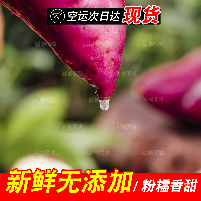手里拿着红薯
