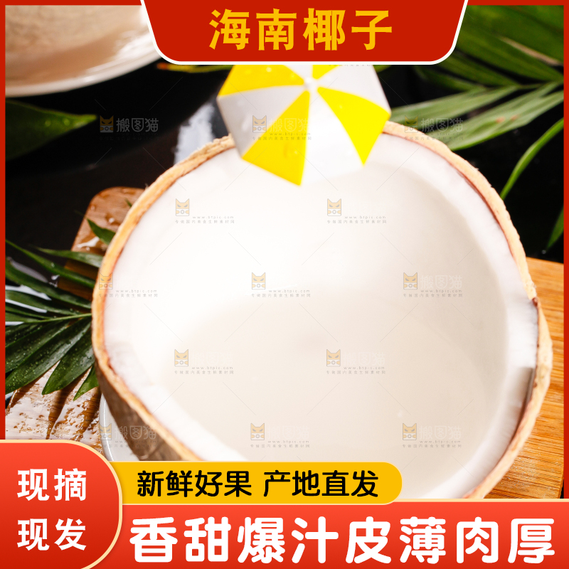 木底上摆放着海南椰子