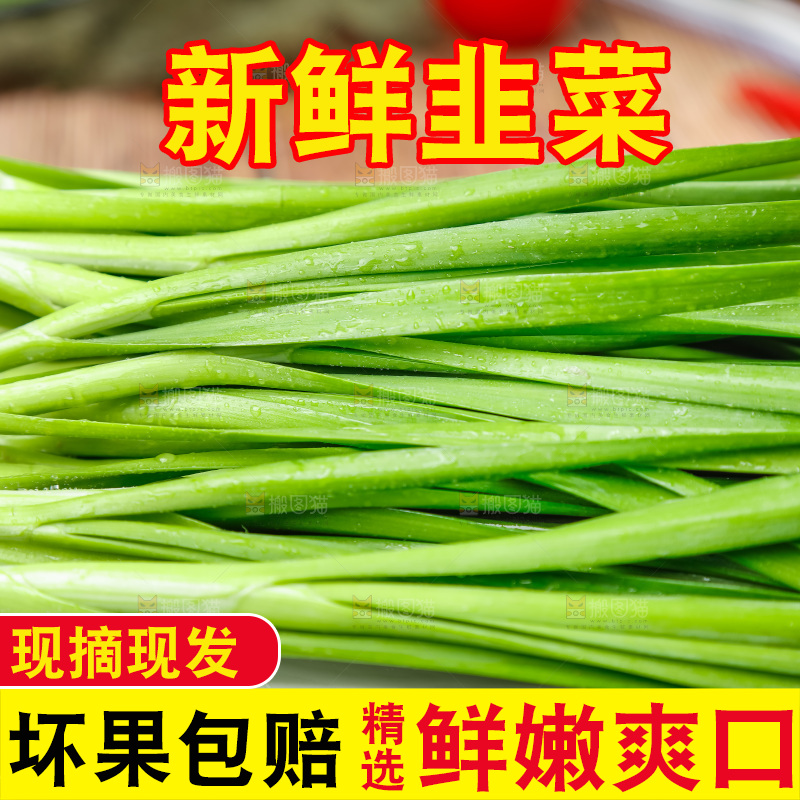 盘子里装着嫩韭菜