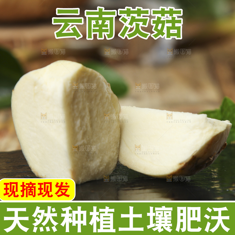 黑底上放着云南新鲜茨菇