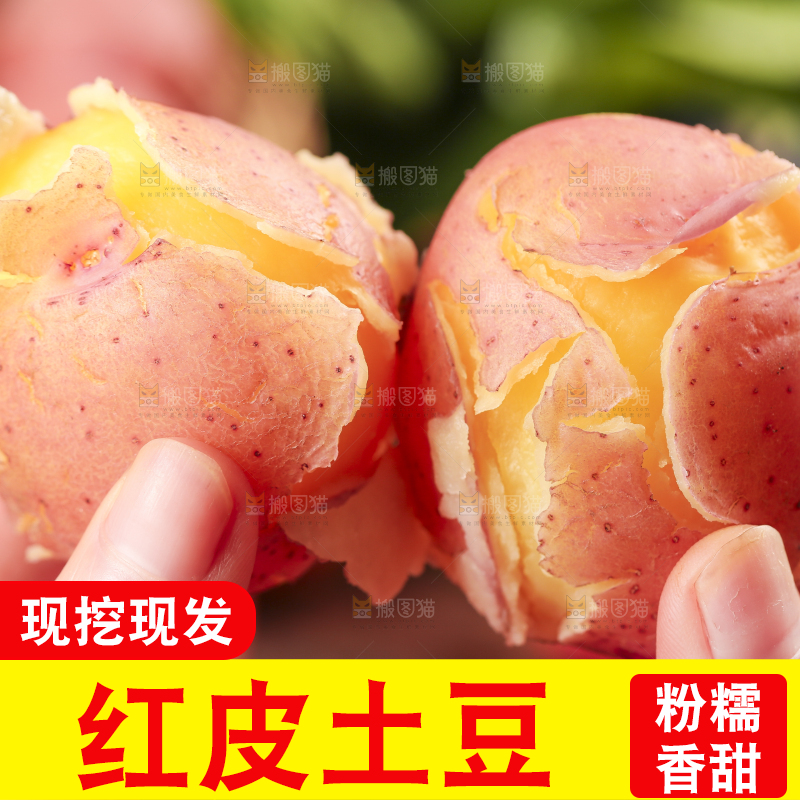 手里拿着红皮土豆