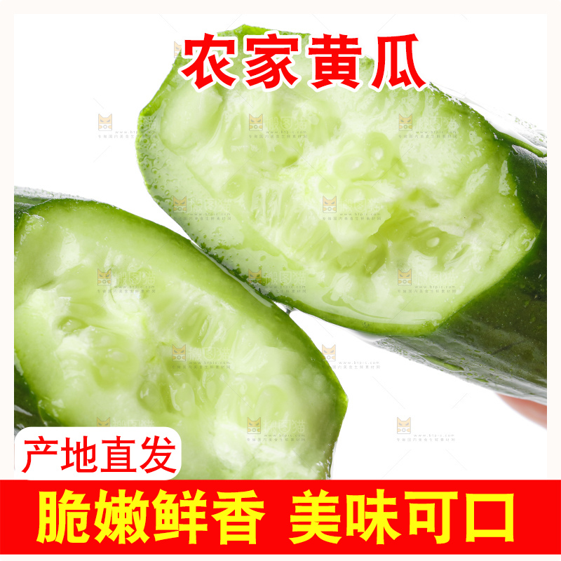 手里拿着嫩黄瓜