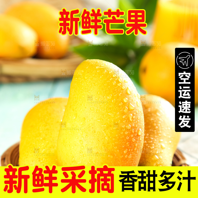 格子底上摆放着小台芒