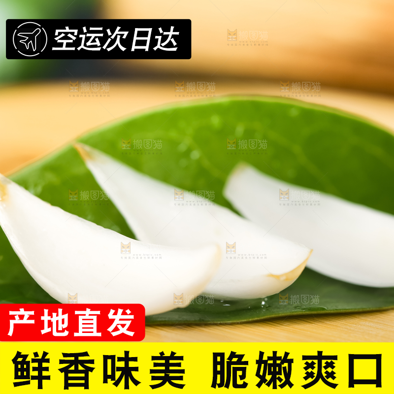 枝叶上摆放着百合