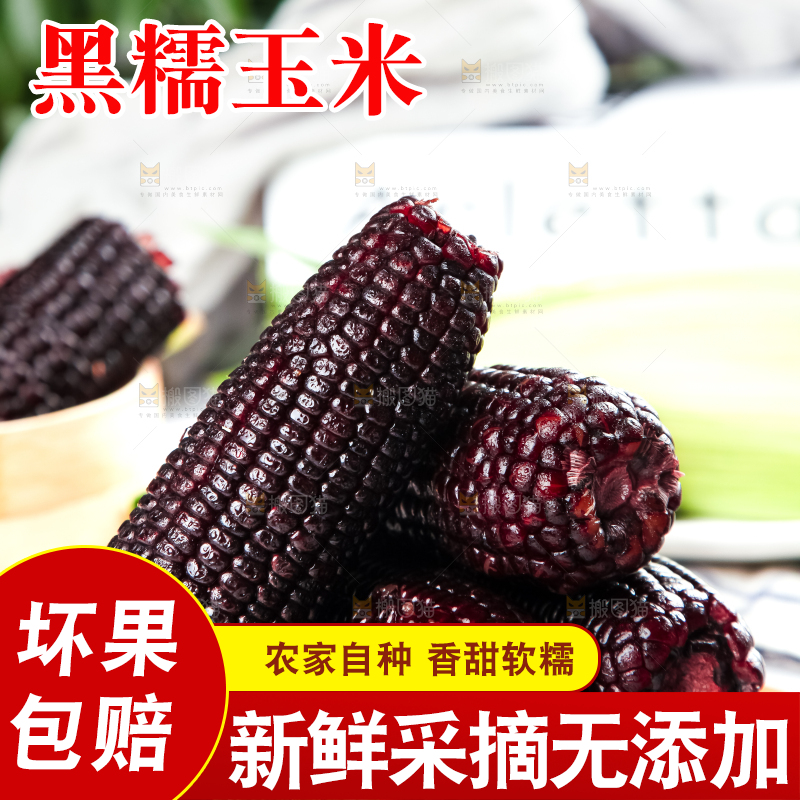 木底上放着东北黑玉米