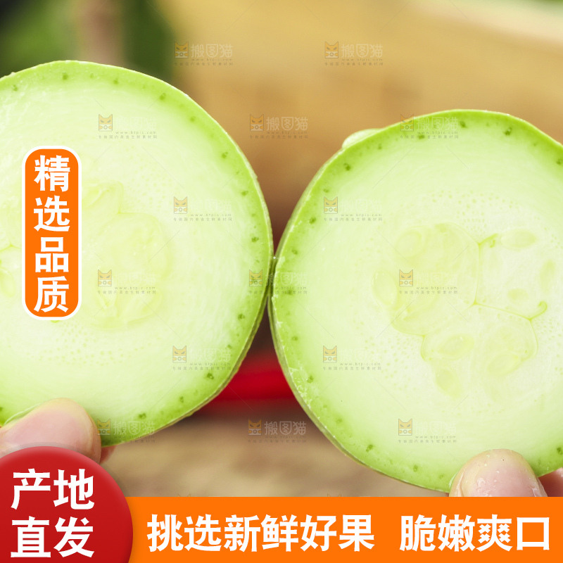 手里拿着茭瓜