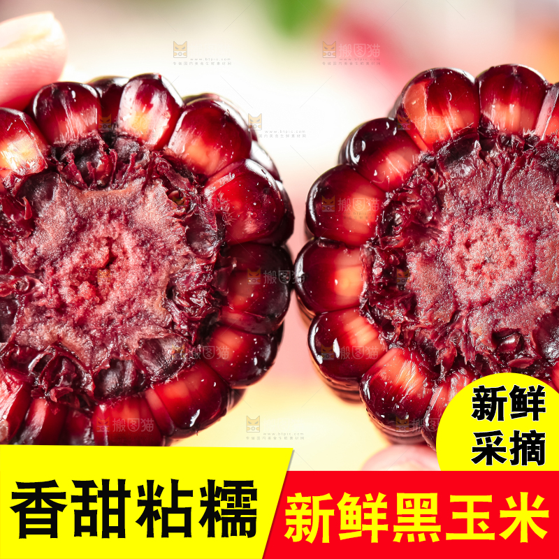 手里拿着紫玉米