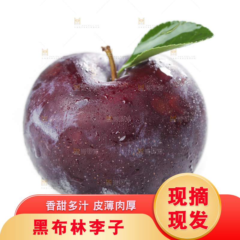 白底上放着黑布李