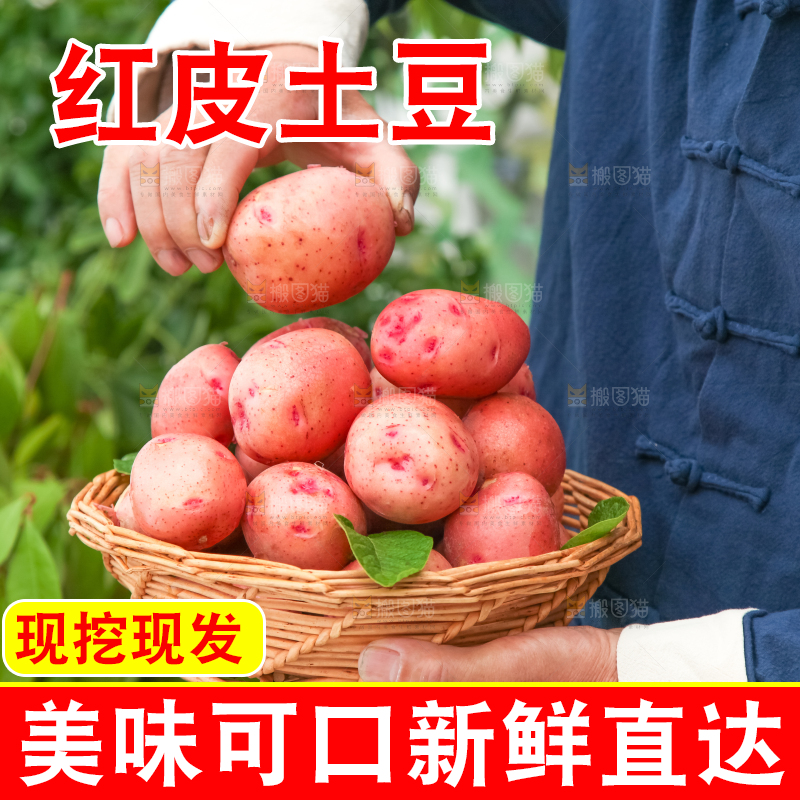 手里捧着一篮土豆