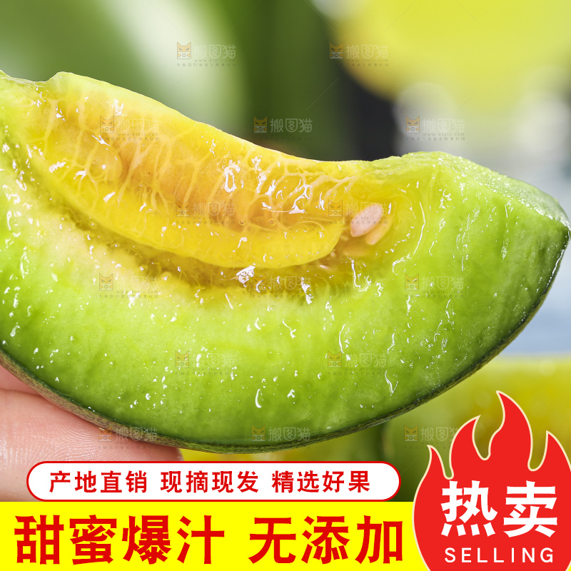 木底上放着绿宝石瓜