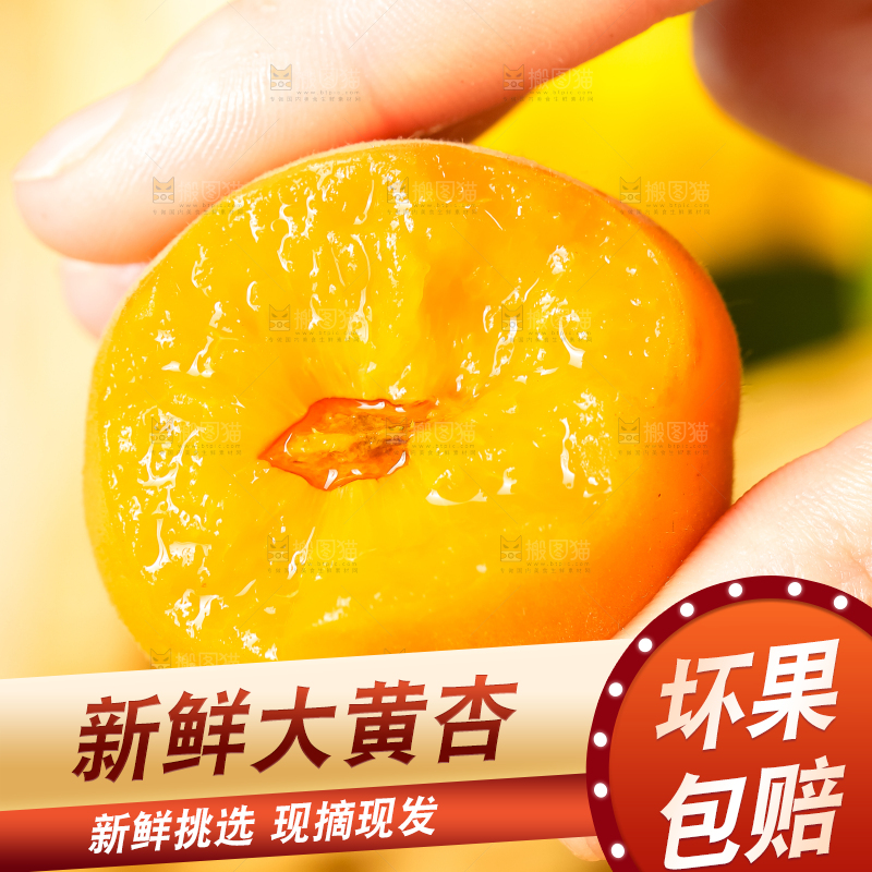 手里拿着黄杏