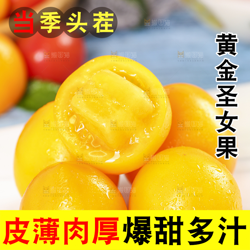 白底上摆放着山东黄金小番茄