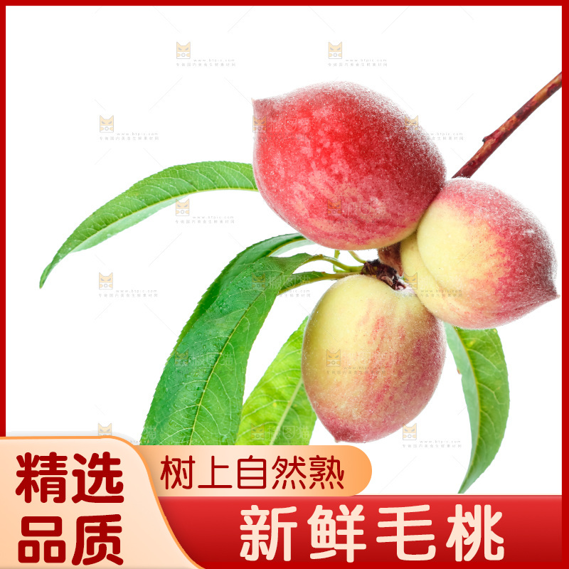 白底上摆放着毛桃