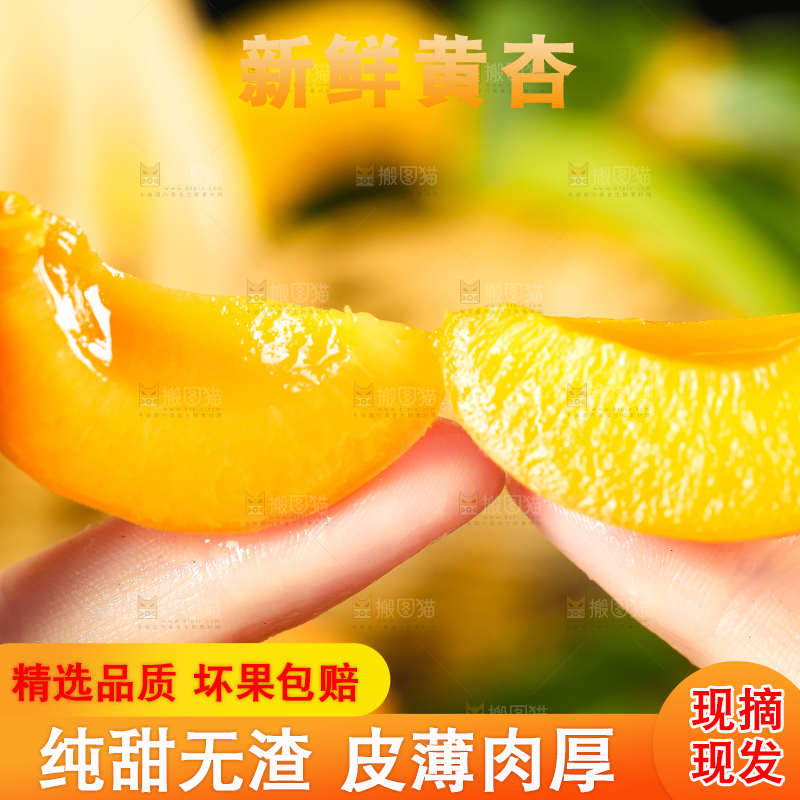 手里拿着黄杏