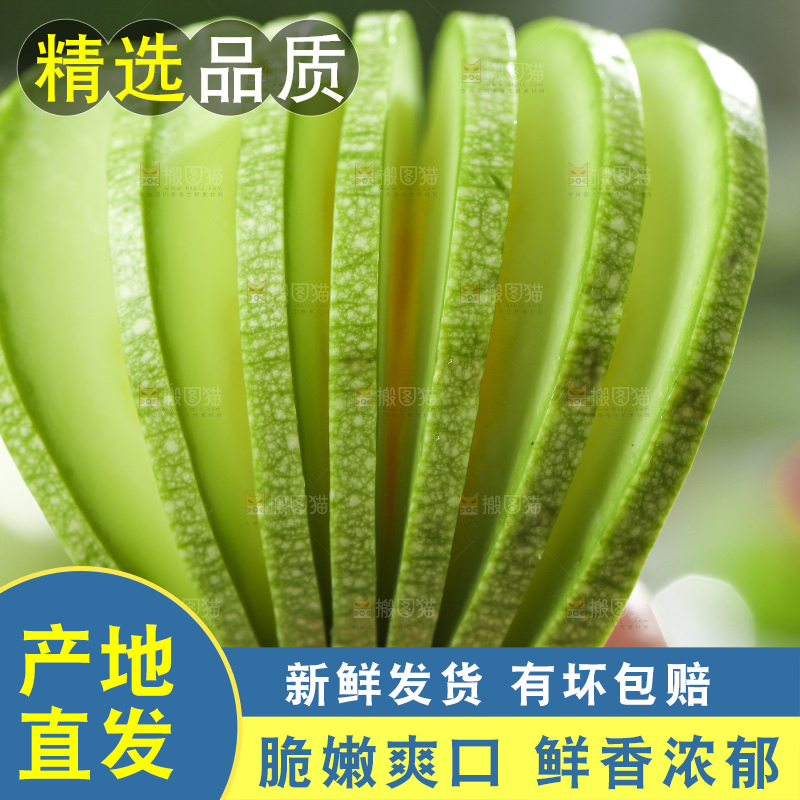 手里拿着嫩茭瓜
