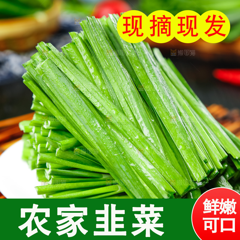 盘子里装着嫩韭菜