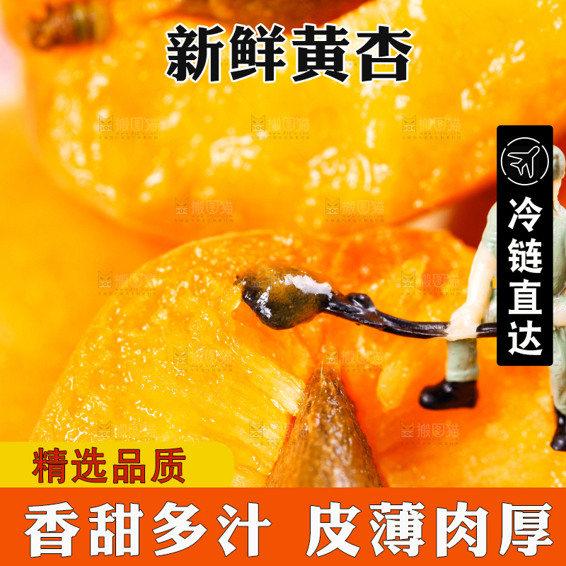 木底上放着陕西新鲜大黄杏