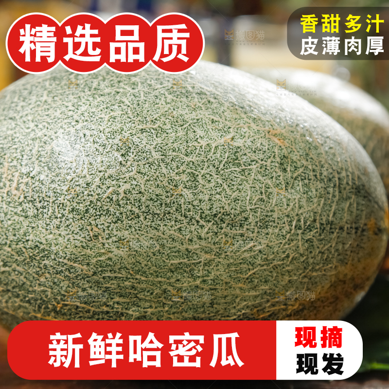 木底上摆放着网纹瓜