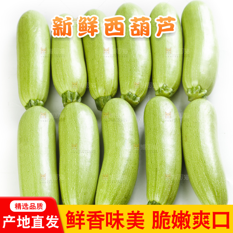 白底上摆放着西葫芦