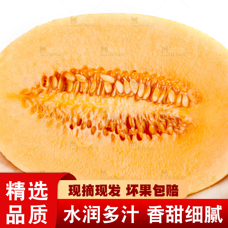 手里拿着新疆黄皮哈密瓜