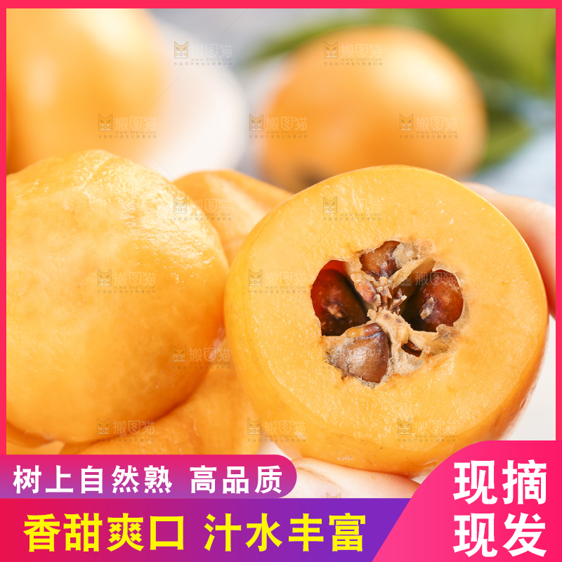 手里拿着枇杷果