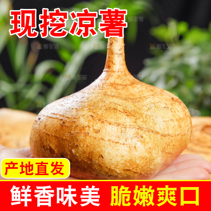 手里拿着地瓜