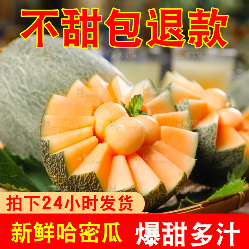 哈密瓜主图