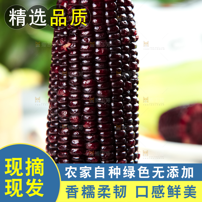 木板上放着黑玉米