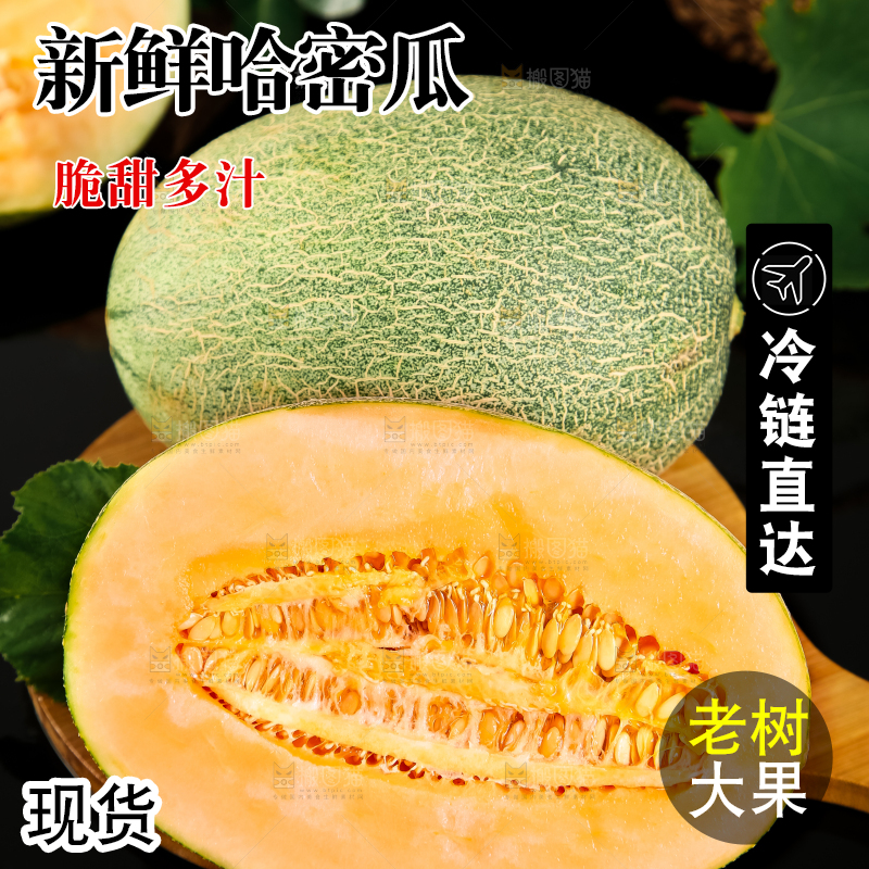 哈密瓜主图