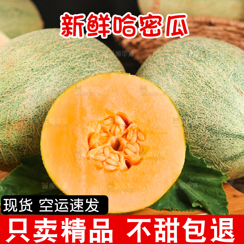哈密瓜主图