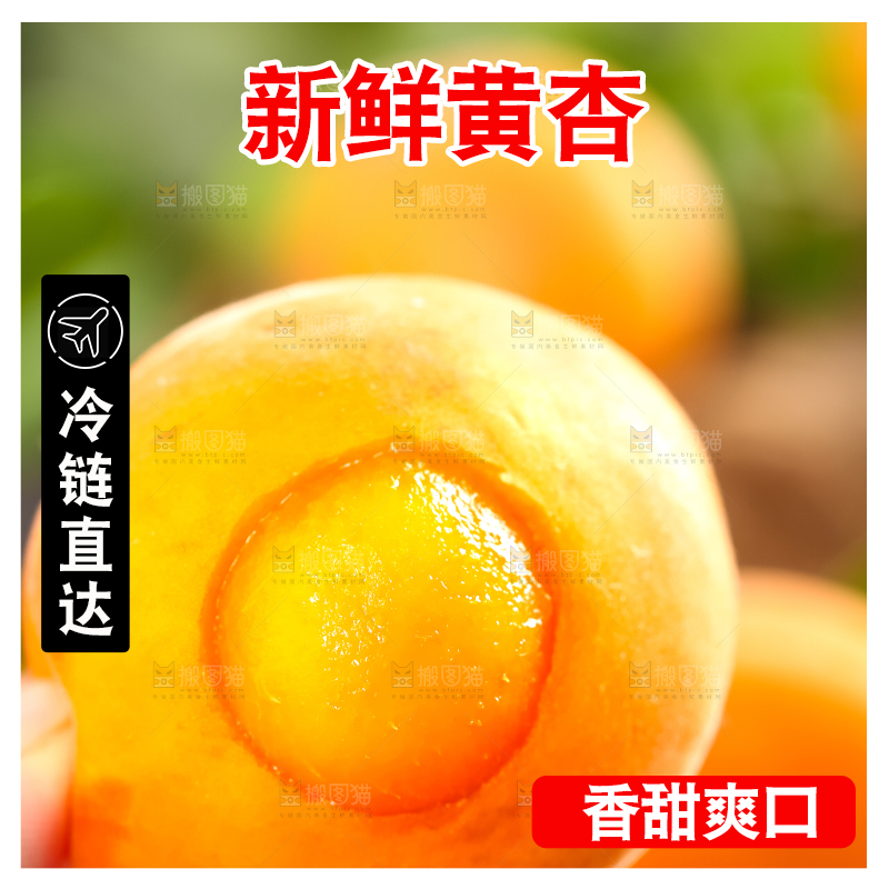 手里拿着杏子