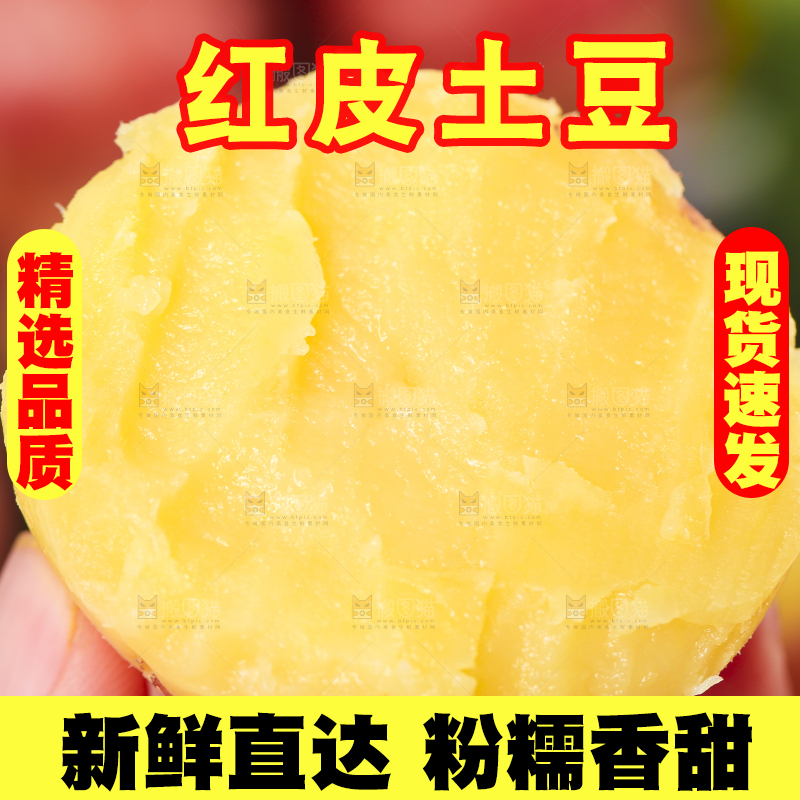 手里拿着红皮黄心土豆