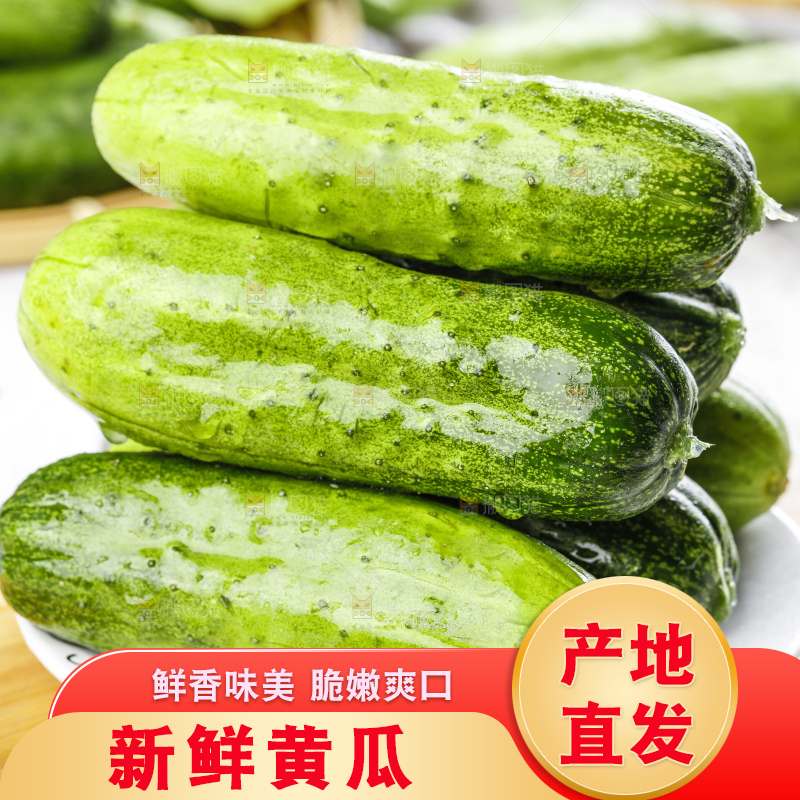 盘子里装着刺黄瓜