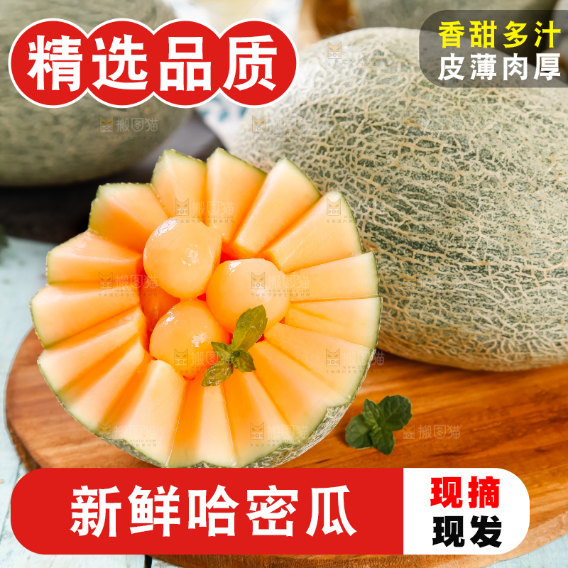 木底上摆放着网纹瓜
