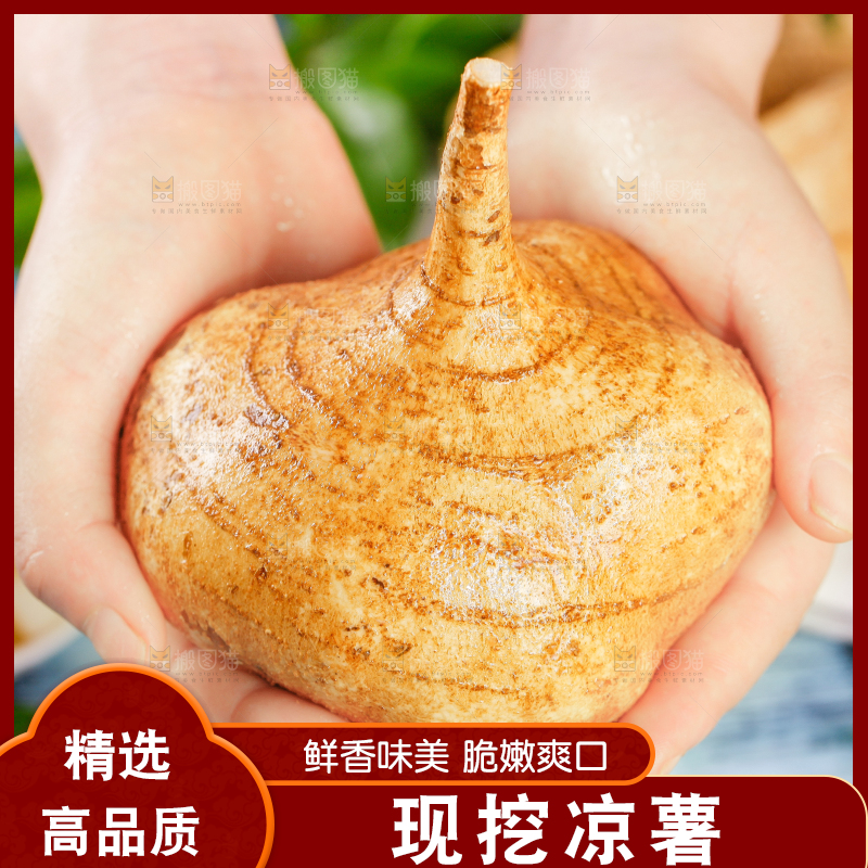 手里拿着番葛