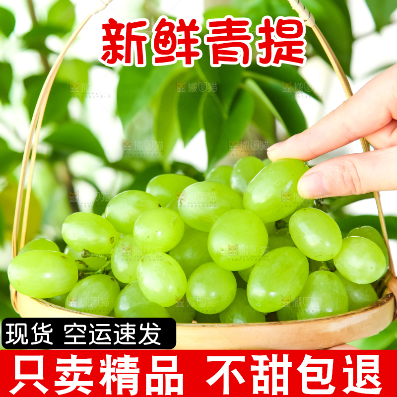 手里拿着一篮青提