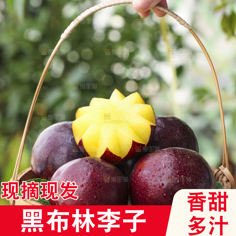 手里提着一篮黑李子