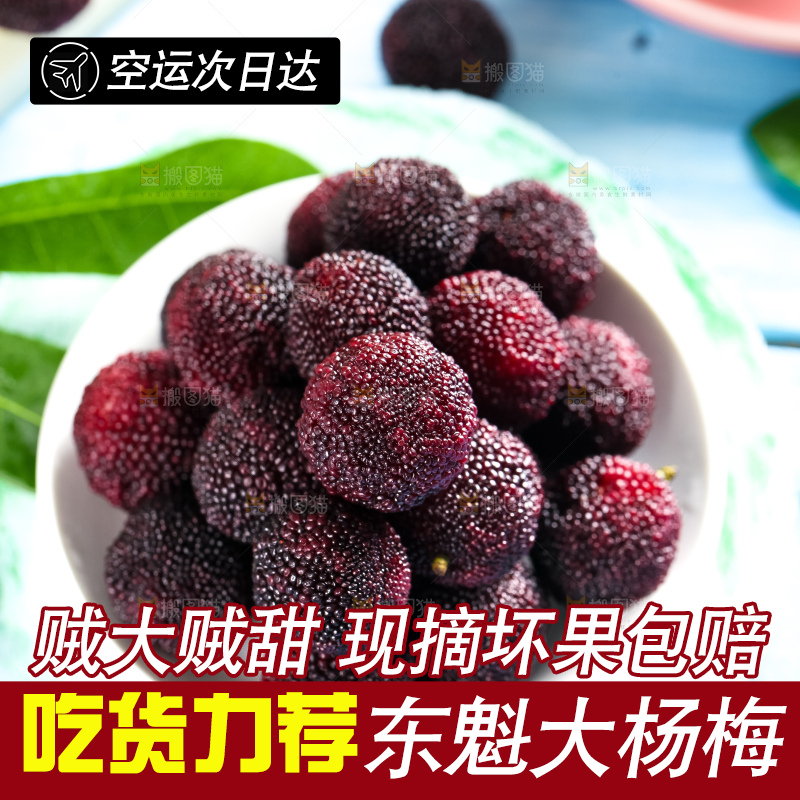 盘子里装着鲜杨梅