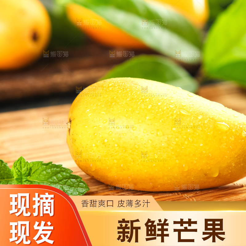 木底上放着上小台芒