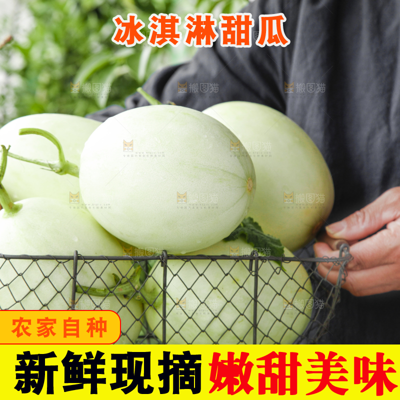 手里拿着一篮玉菇甜瓜