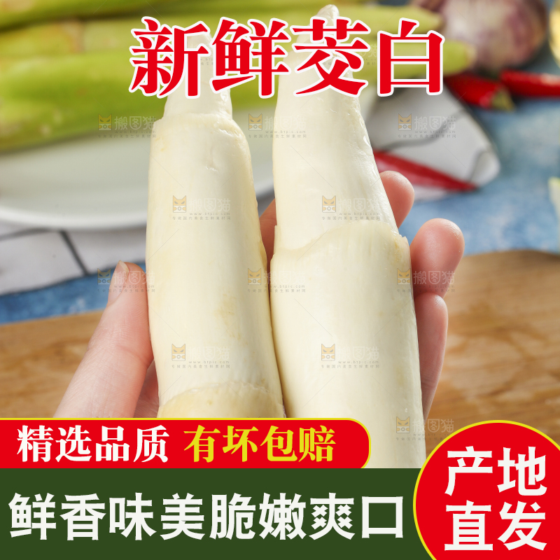 手里拿着茭白