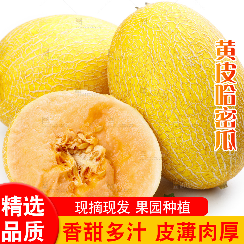 白底上摆放着黄皮哈密瓜
