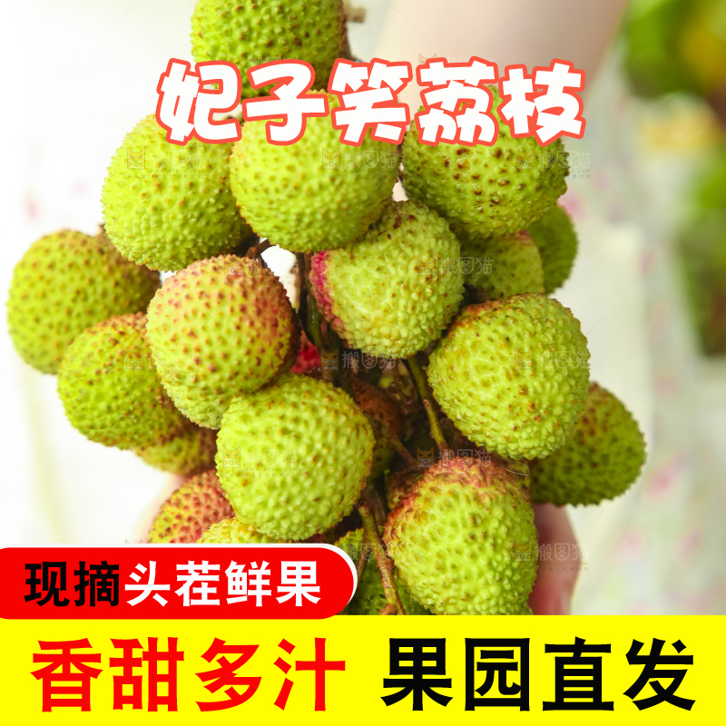 手里拿着妃子笑荔枝