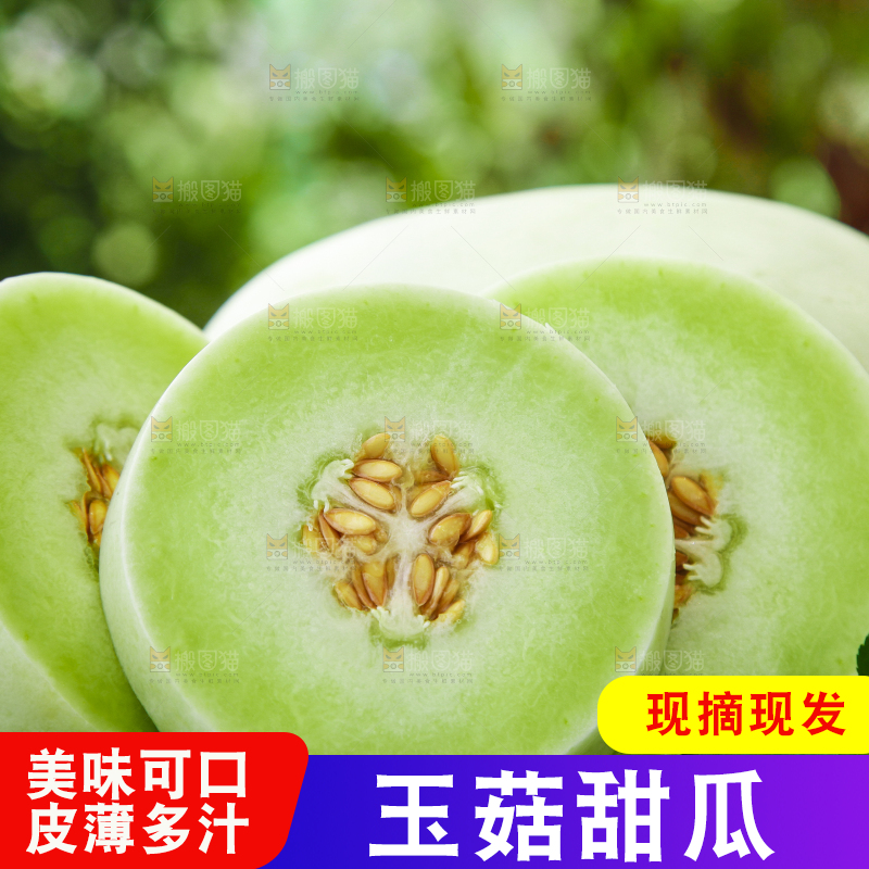 绿草地上摆放着玉菇甜瓜