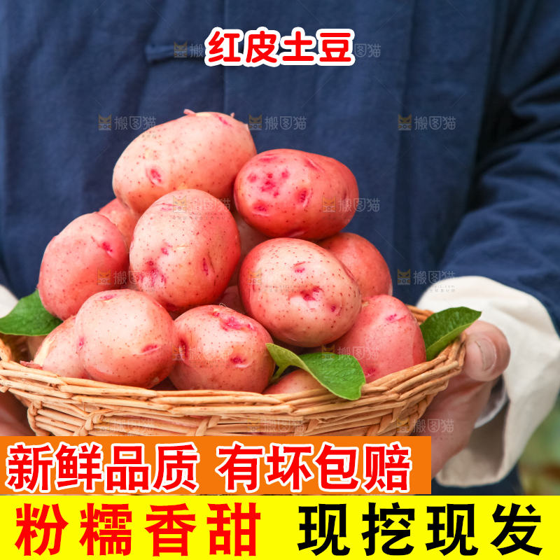手里捧着一篮土豆