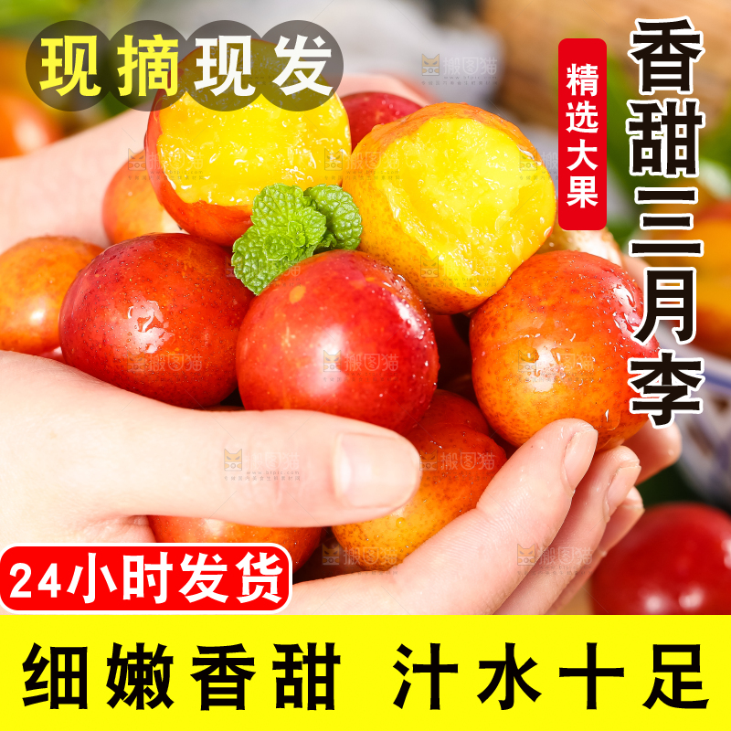手里拿着脆李子