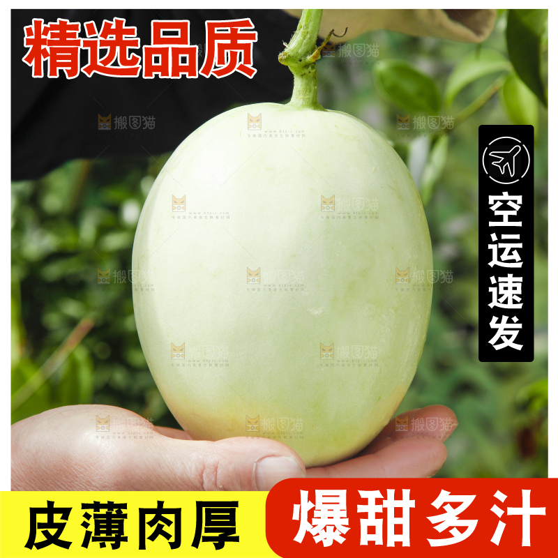 手里拿着玉菇香瓜
