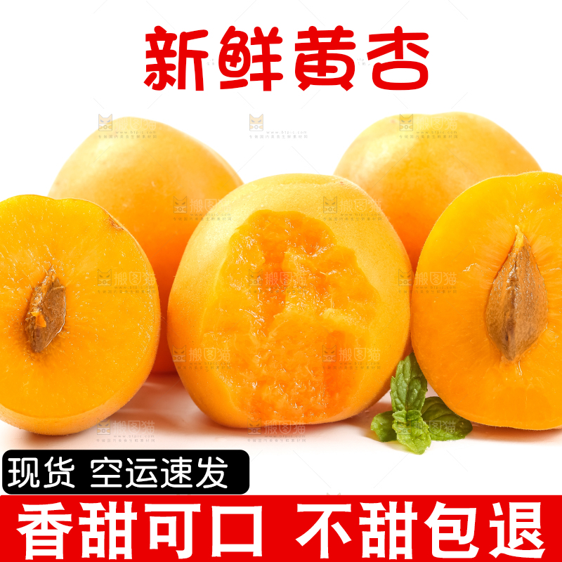 白底上摆放着杏子
