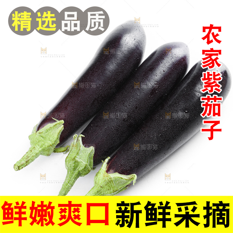 白底上放着紫茄子